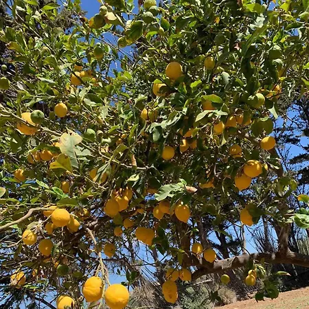 בית נופש Agapi פארוס