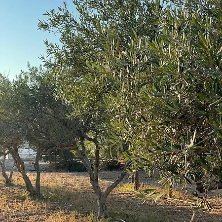 בית נופש Agapi פארוס